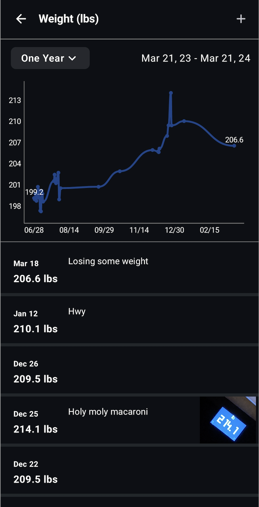Body Measurements Interface